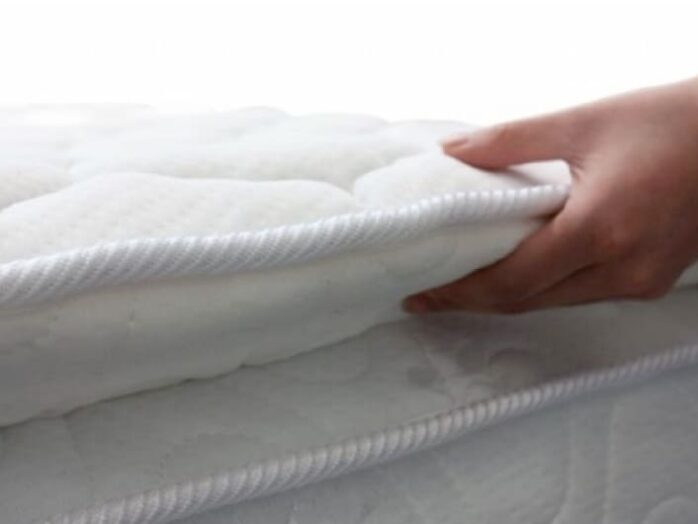 פילוטופ הלופיל